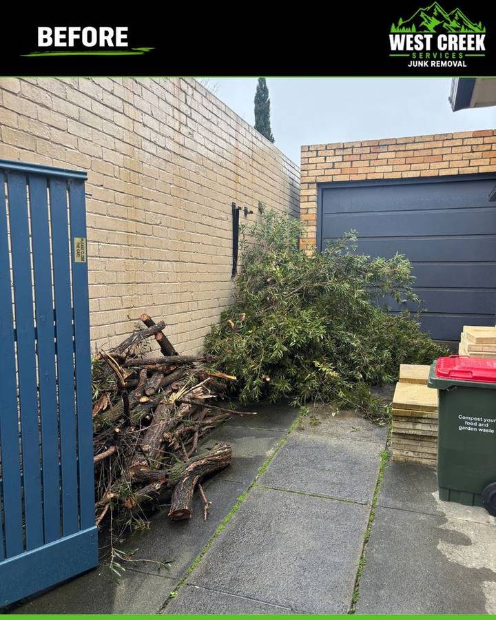 Before: Tree branches and logs blocking a garage