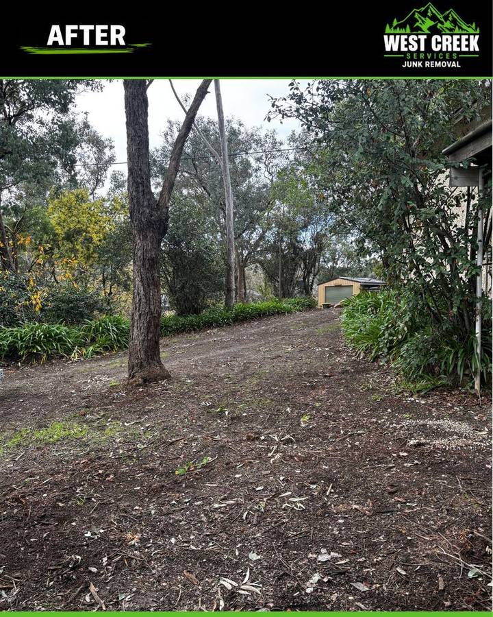 After: Bush property driveway cleared