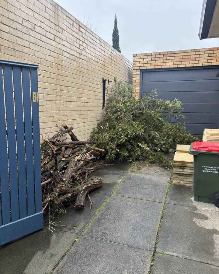 Junk removal job site